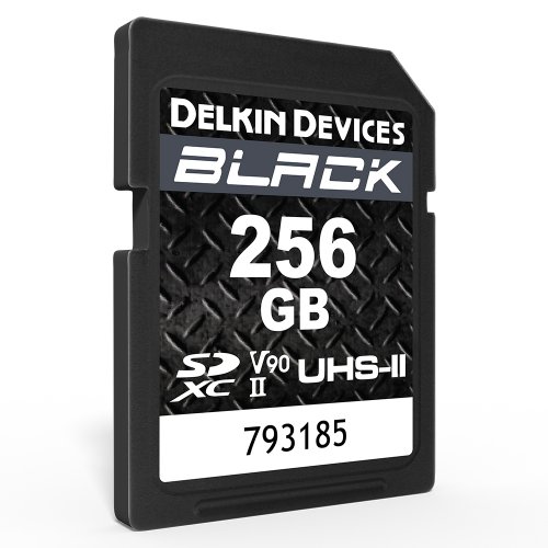 Delkin Devices BLACK UHS-II Rugged SD Card (256 GB)