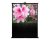 Grandview CB-X80 80in 16:9 Portable Floor Pull Up Screen (Open Box)