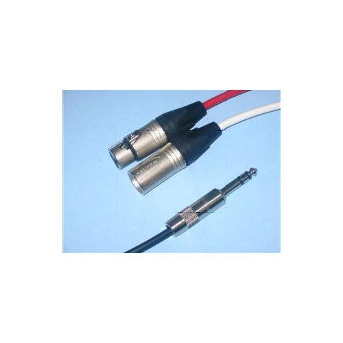 BRTB 1/4in to XLRm + XLRf Insert Cable - 6 Feet