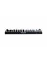 Arturia MiniLAB MK3 37-Key Controller - Black