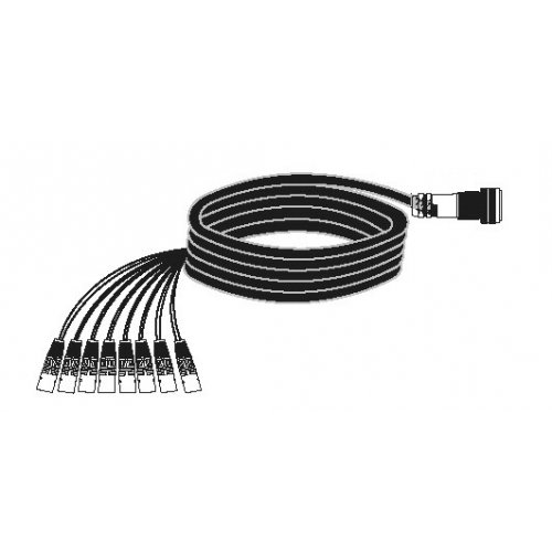 BRTB VEAM-f > XLR-m Splay