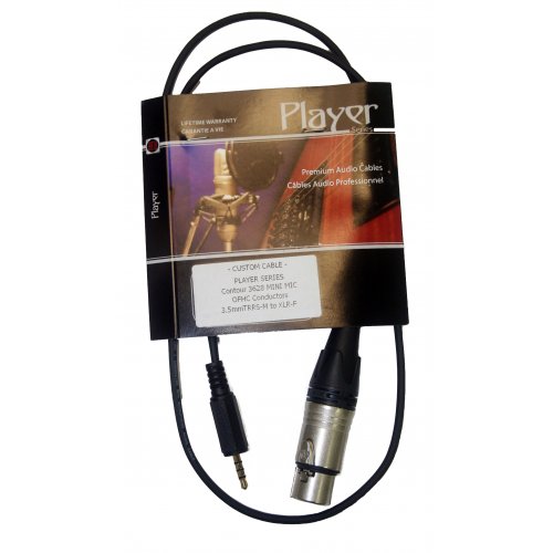 AVShop Cisco SX20 to External Microphone