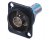 Neutrik NBB75DFG Grounded BNC D-Type Connector (Black)