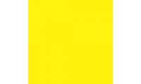 Rosco E-Colour+ 010 Medium Yellow Gel Sheet