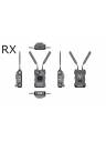 Hollyland Cosmo C2 Wireless Video Transmission System - 2 TX, 1 RX Kit