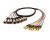 AVShop XLR Male to TRS 8-Channel Snake - 6ft