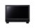 Canon DP-V1711 17-Inch UHD 4K Reference Display