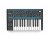 Novation Bass Station II 25-Note Analogue Monosynth