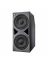 Neumann KH 870 II 2x10in DSP-Controlled Powered Subwoofer