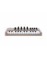 Arturia MINILAB 3 MIDI Keyboard & Pad Controller - Limited Edition Champagne