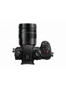 Panasonic LUMIX GH5M2 Mirrorless Camera with Live Streaming & Leica Lens