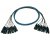Whirlwind Fan Snake 8 XLRF to 8 XLRM -50ft
