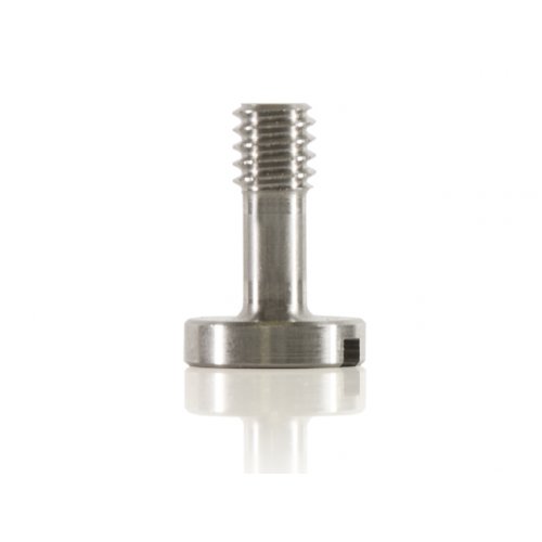 Shape Screw 1/4-20