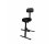 ProX Portable Adjustable Gig Chair
