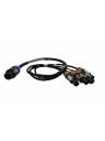 BRTB NL8 Female to Quad NL2 Female (NL8 to NL2 Splitter) - 12awg