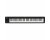 Korg microKey2 61 Compact MIDI Keyboard