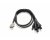Warm Audio DB25 to XLR (M) Premium 8-Channel Audio Breakout Cable - 6ft