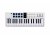 Arturia MiniLAB MK3 37-Key Controller - White