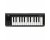 Korg microKEY Air 25 Bluetooth MIIDI Keyboard Controller