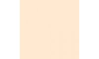 Rosco E-Colour+ 223 1/8 CT Orange Gel Sheet
