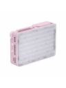 Amaran Ace 25c Full Colour Compact LED Light - Pink
