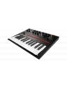 Korg Monologue Monophonic Synthesizer - Black