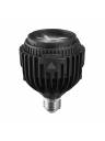 Astera SolaBulb Zoomable LED 8 Bulb Kit w/ B22 Socket