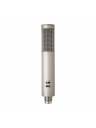 Royer Labs R12 Active Ribbon Studio Microphone (Matched Pair)