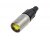 Neutrik NE8MX EtherCon RJ45 Connector - Terminated Cable