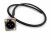 BRTB Male Panel Mount XLR to Bare Wire - Rack Cable - 2ft