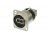 Neutrik NAUSB-W USB A/B Pass Thru D-Type