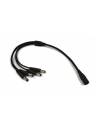 AVShop 1 to 4 DC Power Splitter Cable