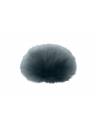 Panasonic DMW-DMS1 LUMIX Digital Shotgun Microphone