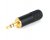 Switchcraft 35HDBAU 3.5MM Stereo Plug (Black/Gold)