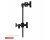 Matthews Hollywood Arm 20in Grip Head - Black
