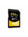 Wise SDXC UHS-II V90 Memory Card - 256GB