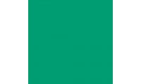 Rosco E-Colour+ 5454 Olympia Green Gel Sheet
