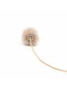 Bubblebee The Windbubble Pro, Small - Beige
