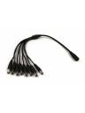AVShop 1 to 8 DC Power Splitter Cable