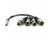 Atomos LEMO to XLR Breakout Cable for Shogun