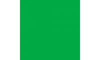 Rosco E-Colour+ 124 Dark Green Gel Sheet