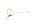 Shure MX153C/O-TQG Earset Headworn Microphone w/TA4F (Cocoa)