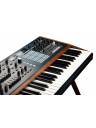 Arturia PolyBrute Synthesizer