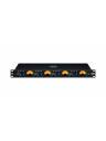 Black Lion Audio Auteur Quad² Four Channel Mic Preamp