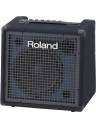 Roland KC-80 Mixing Keyboard Amplifier