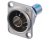 Neutrik NBB75DFI BNC Isolated D-Type Panel Mount