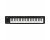 Korg microKEY Air 49 Bluetooth MIIDI Keyboard Controller