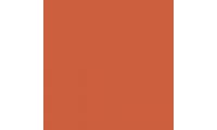Rosco E-Colour+ 017 Surprise Peach Gel Sheet