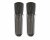 Warm Audio WA-87 R2 TS Condenser Mics - Titanium Stereo Pair