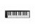 Nektar SE25 Mini MIDI Keyboard Controller